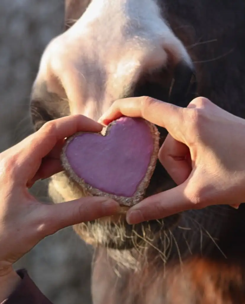 Sweet Love