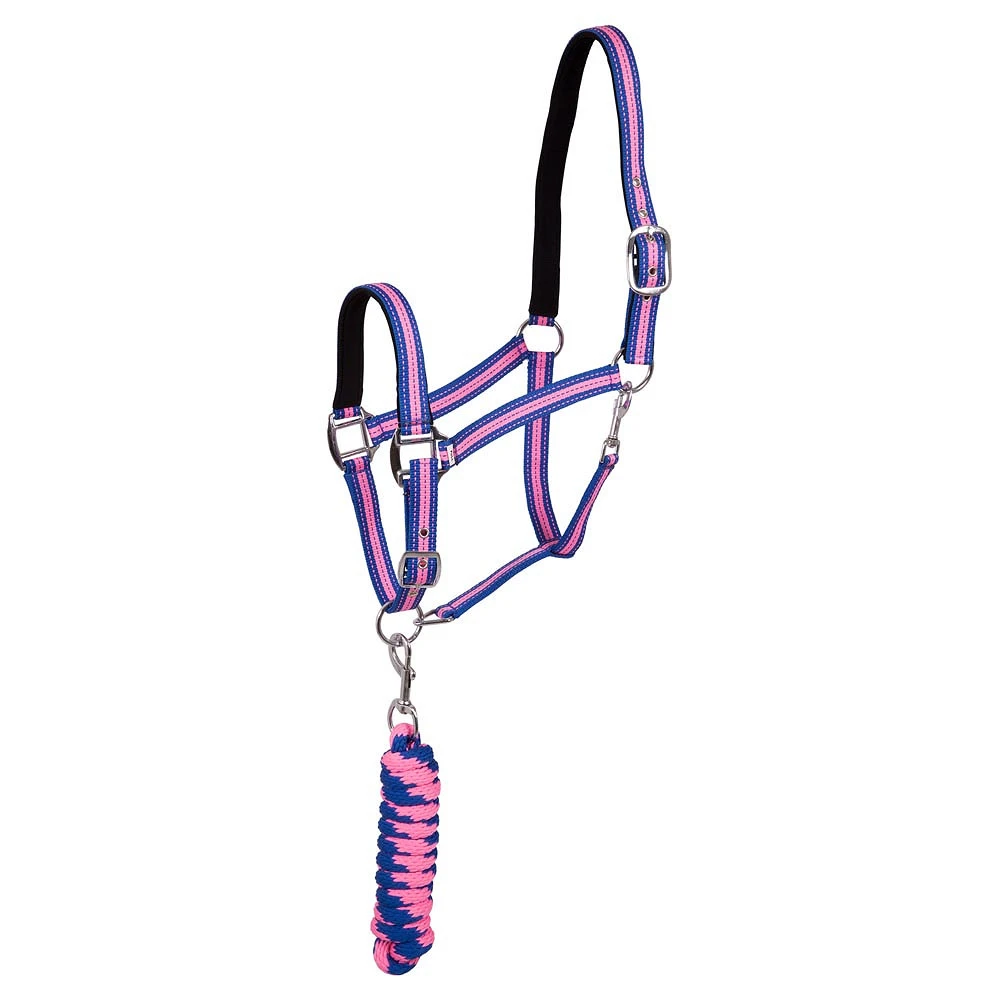 Licol première Stitch