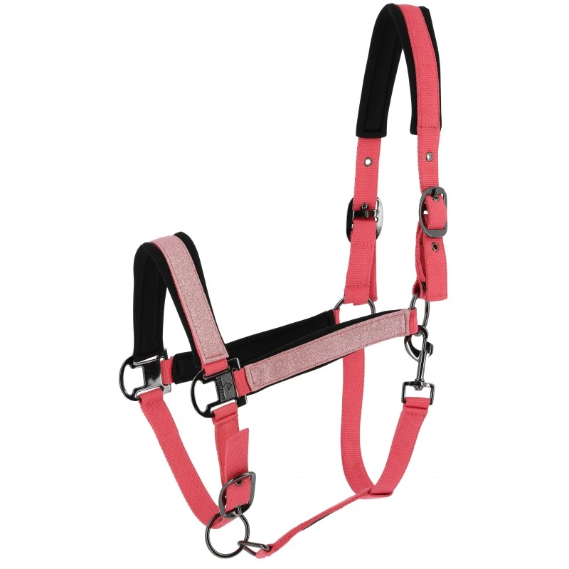 Licol EQUITHÈME - Glowy rose